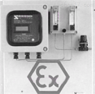 QT02-SSR2-EC91在线式本安型氢中氧分析仪 本安型氢中氧监测仪 氢中氧检测仪