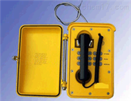 DL18-KNSP01防水防潮电话机 防潮电话仪 智能型防水电话机 防尘防冻电话机